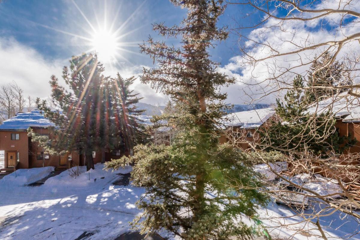 Snowflower 12 Mammoth Lakes Exterior photo